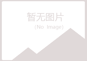 山东女孩化学有限公司